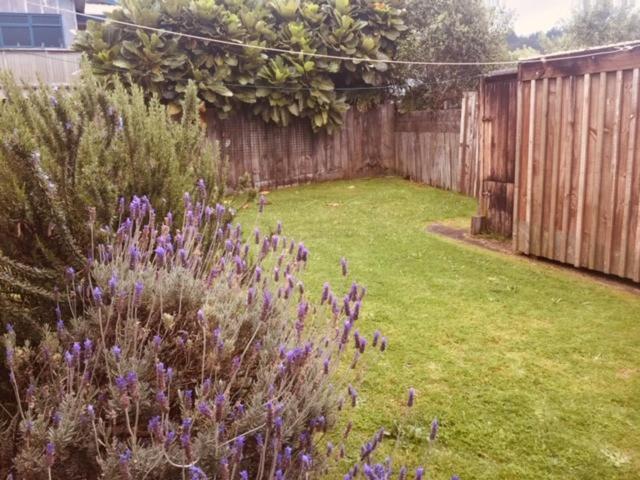 Mollies Place - Waihi Beach Holiday Unit מראה חיצוני תמונה